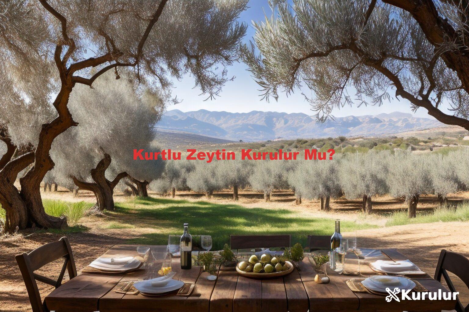 Kurtlu Zeytin Kurulur Mu?