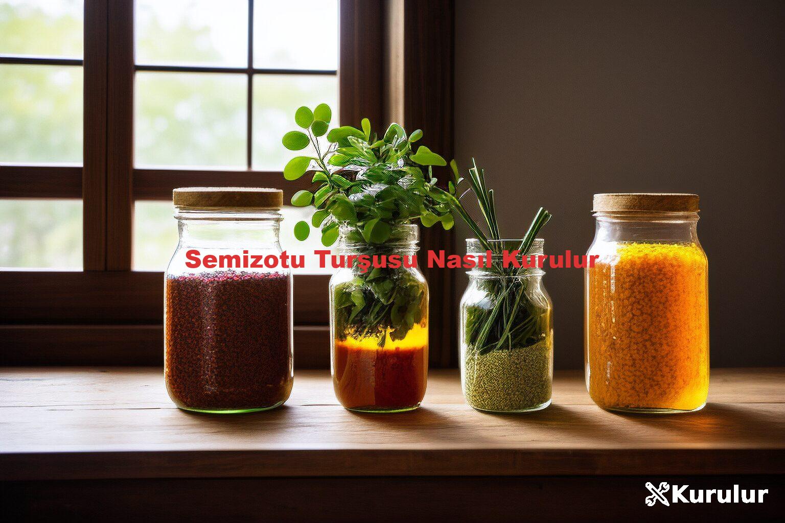 Semizotu Turşusu Nasıl Kurulur