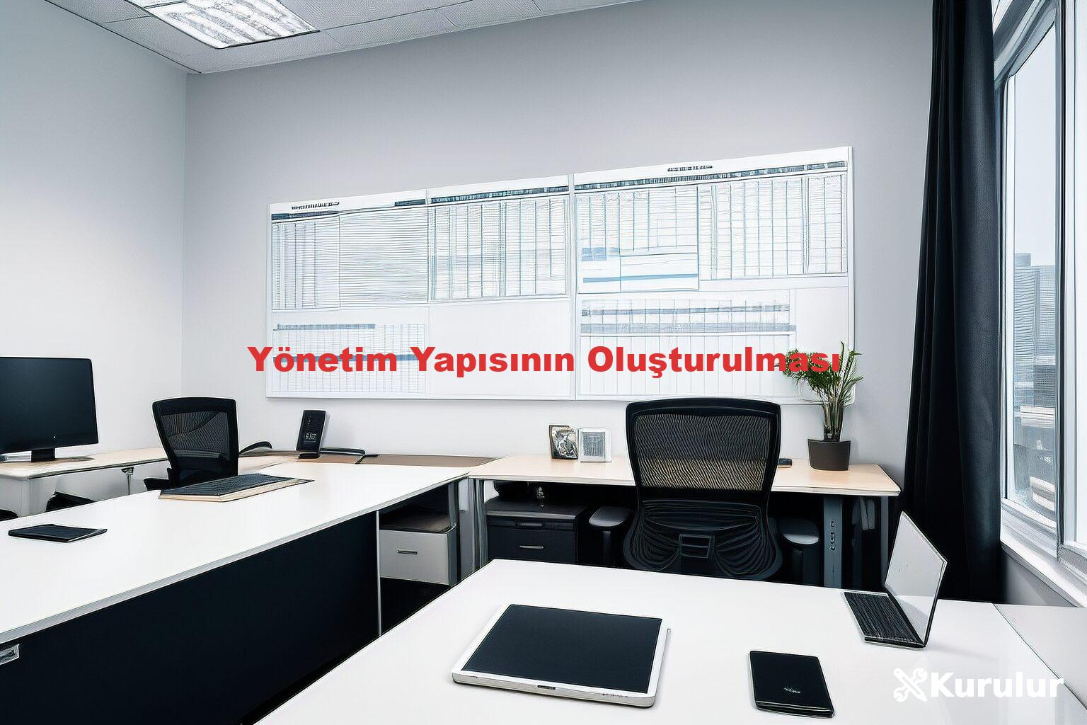 Yönetim Yapısının Oluşturulması