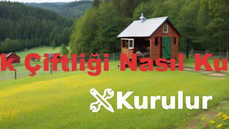 Tavuk Çiftliği Nasıl Kurulur
