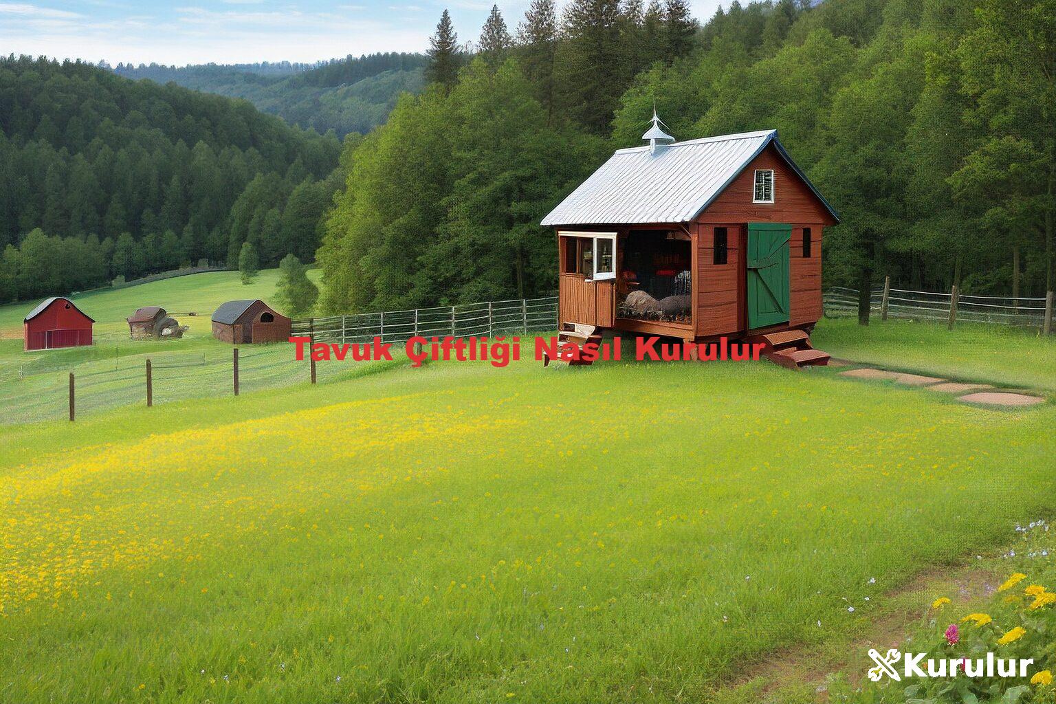 Tavuk Çiftliği Nasıl Kurulur