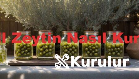 Yeşil Zeytin Nasıl Kurulur