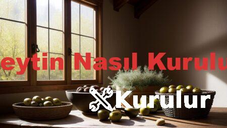 Zeytin Nasıl Kurulur