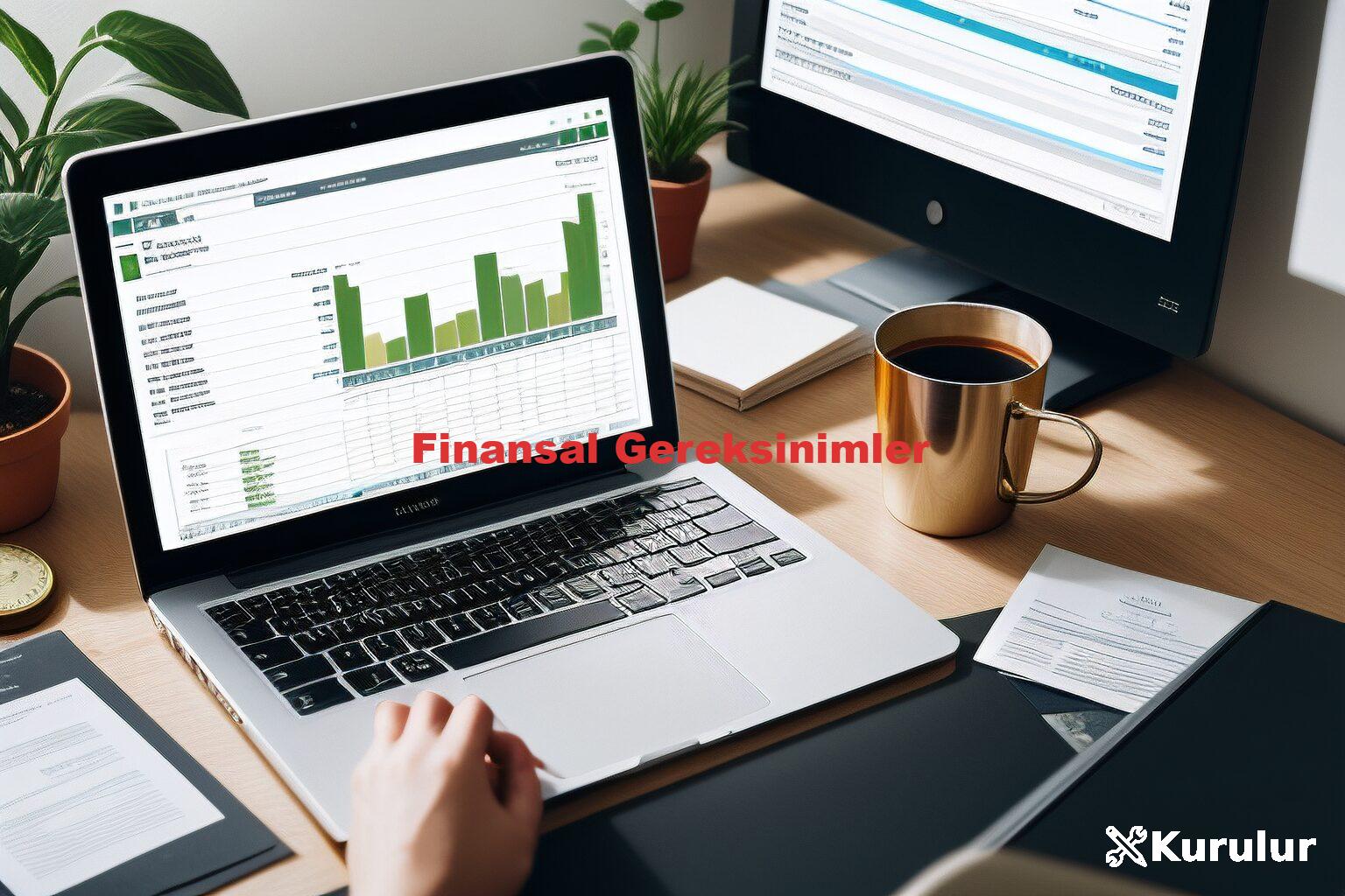 Finansal Gereksinimler