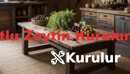 Kurtlu Zeytin Kurulur mu