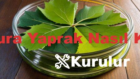 Salamura Yaprak Nasıl Kurulur