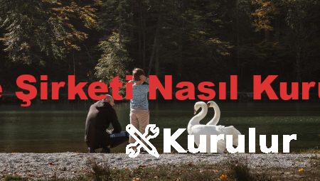 Aile Şirketi Nasıl Kurulur