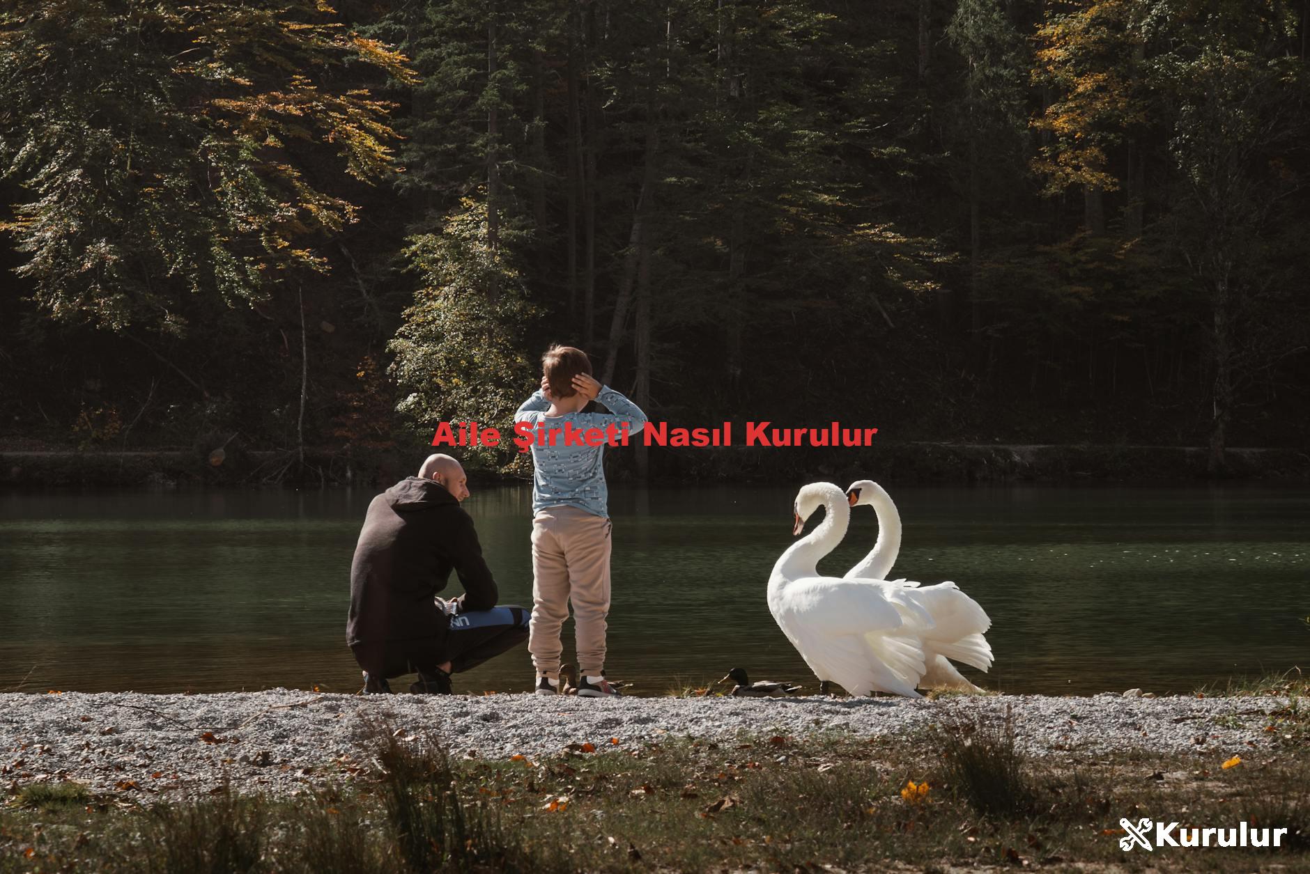 Aile Şirketi Nasıl Kurulur