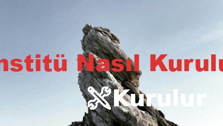 Enstitü Nasıl Kurulur