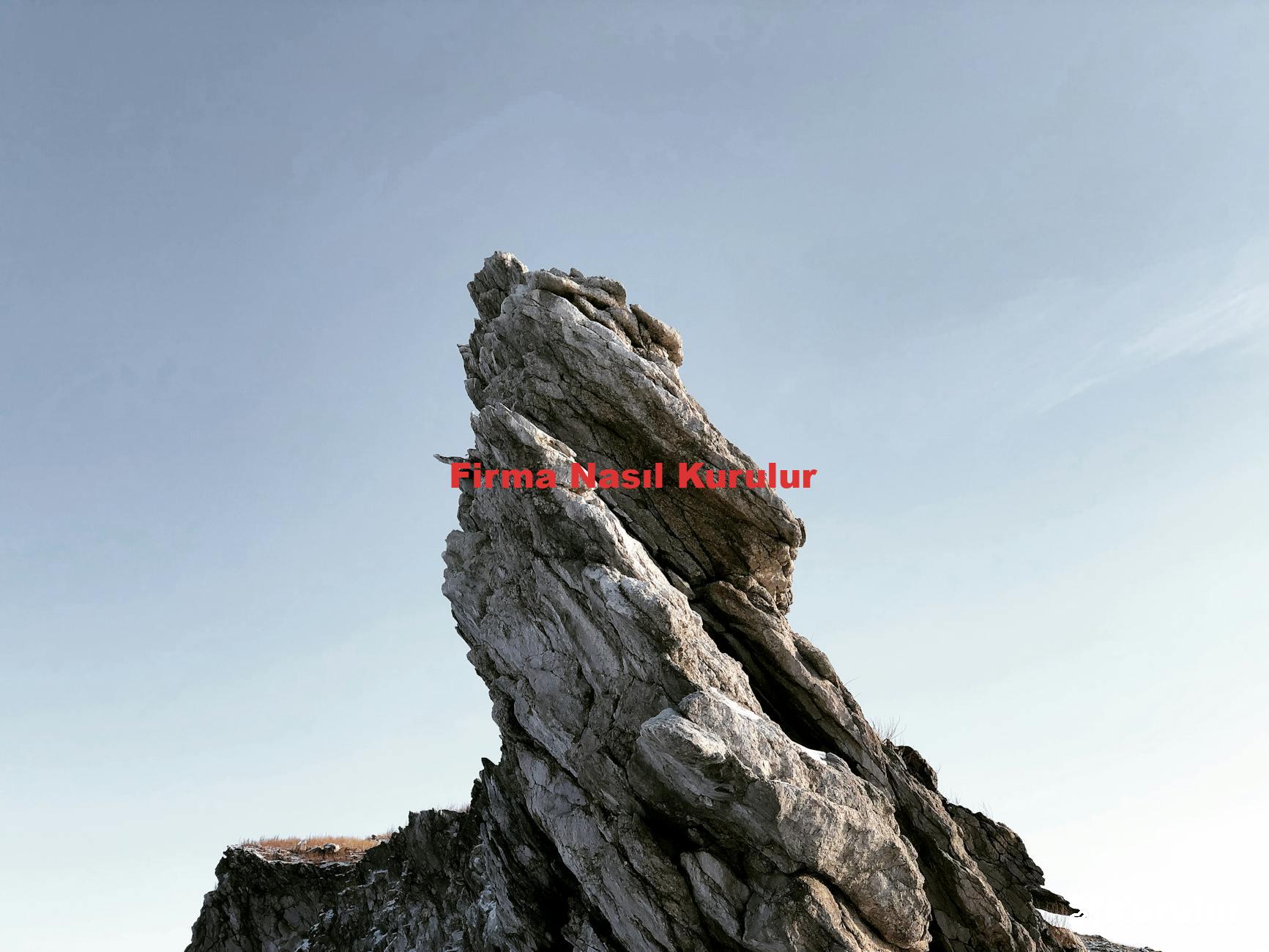 Firma Nasıl Kurulur