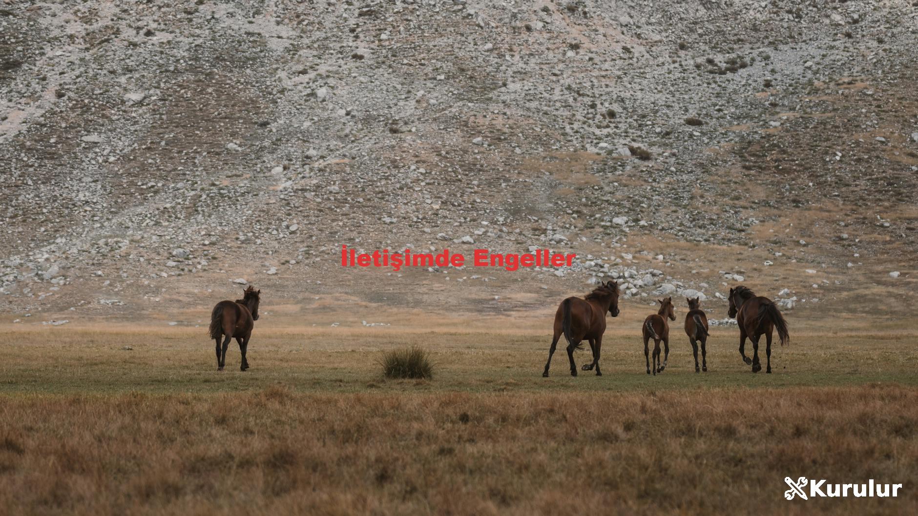İletişimde Engeller