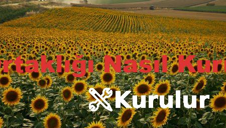 İş Ortaklığı Nasıl Kurulur