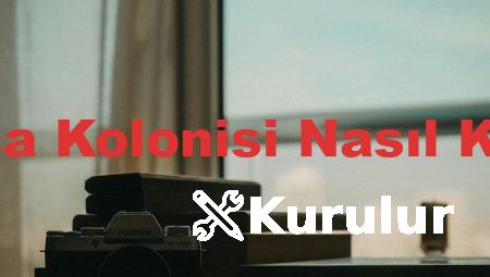 Karınca Kolonisi Nasıl Kurulur