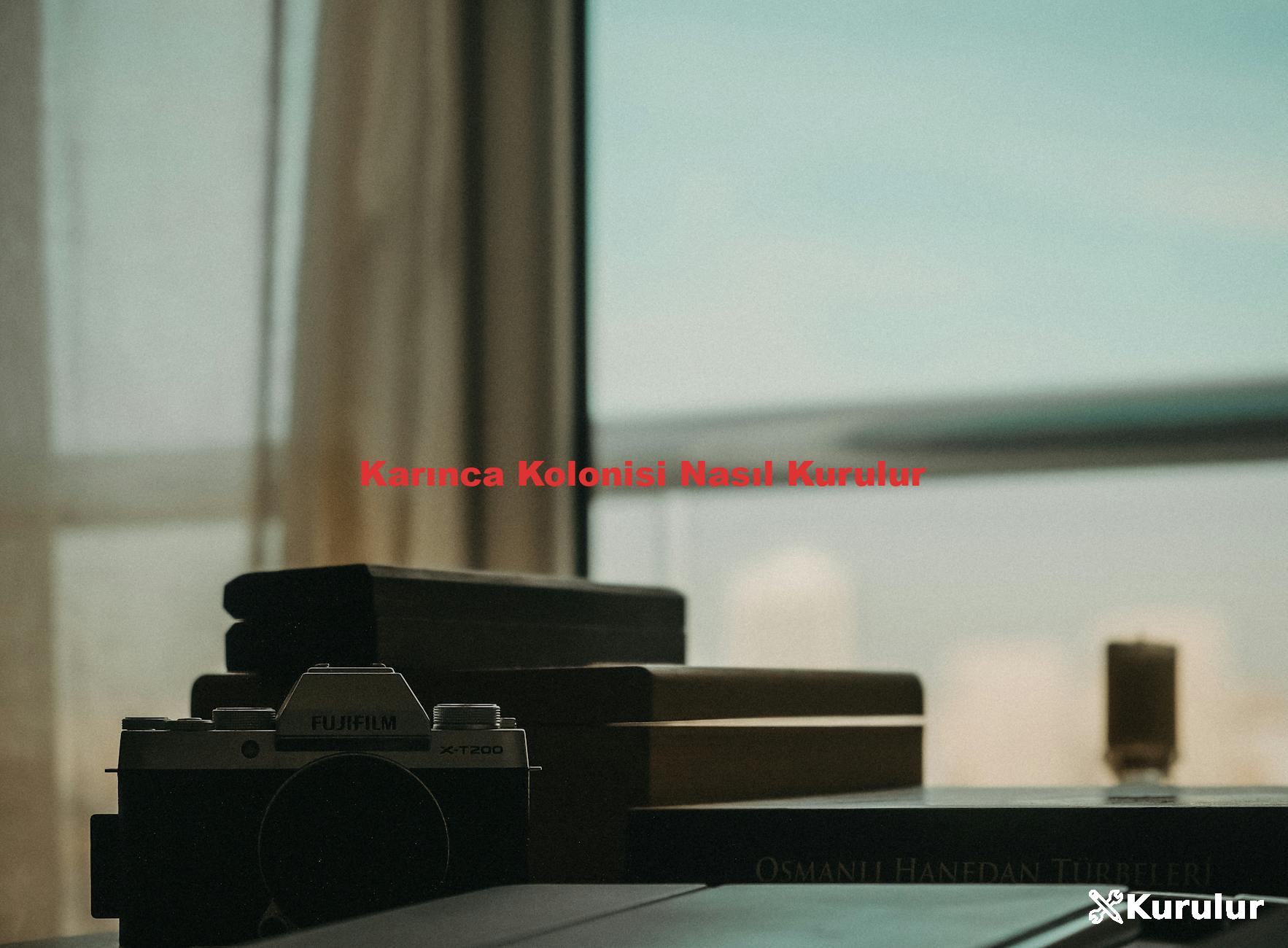 Karınca Kolonisi Nasıl Kurulur