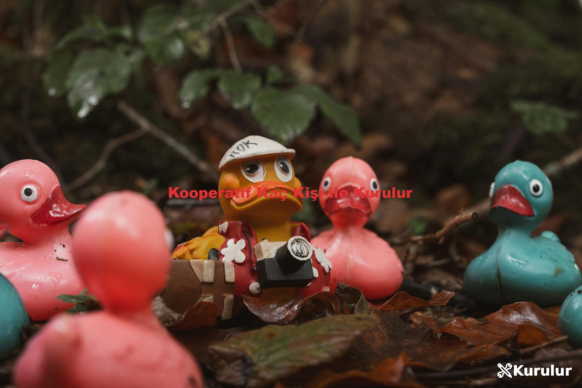 Kooperatif Kaç Kişi ile Kurulur