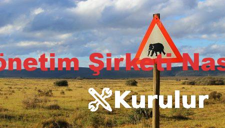 Portföy Yönetim Şirketi Nasıl Kurulur