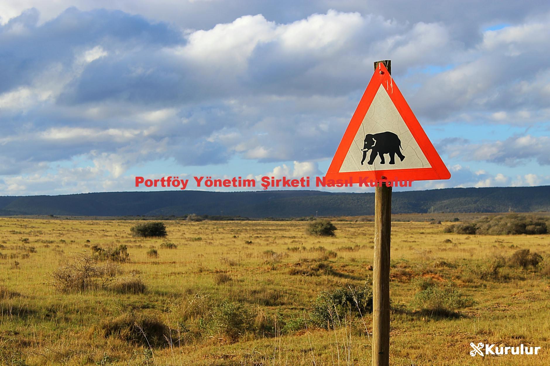 Portföy Yönetim Şirketi Nasıl Kurulur