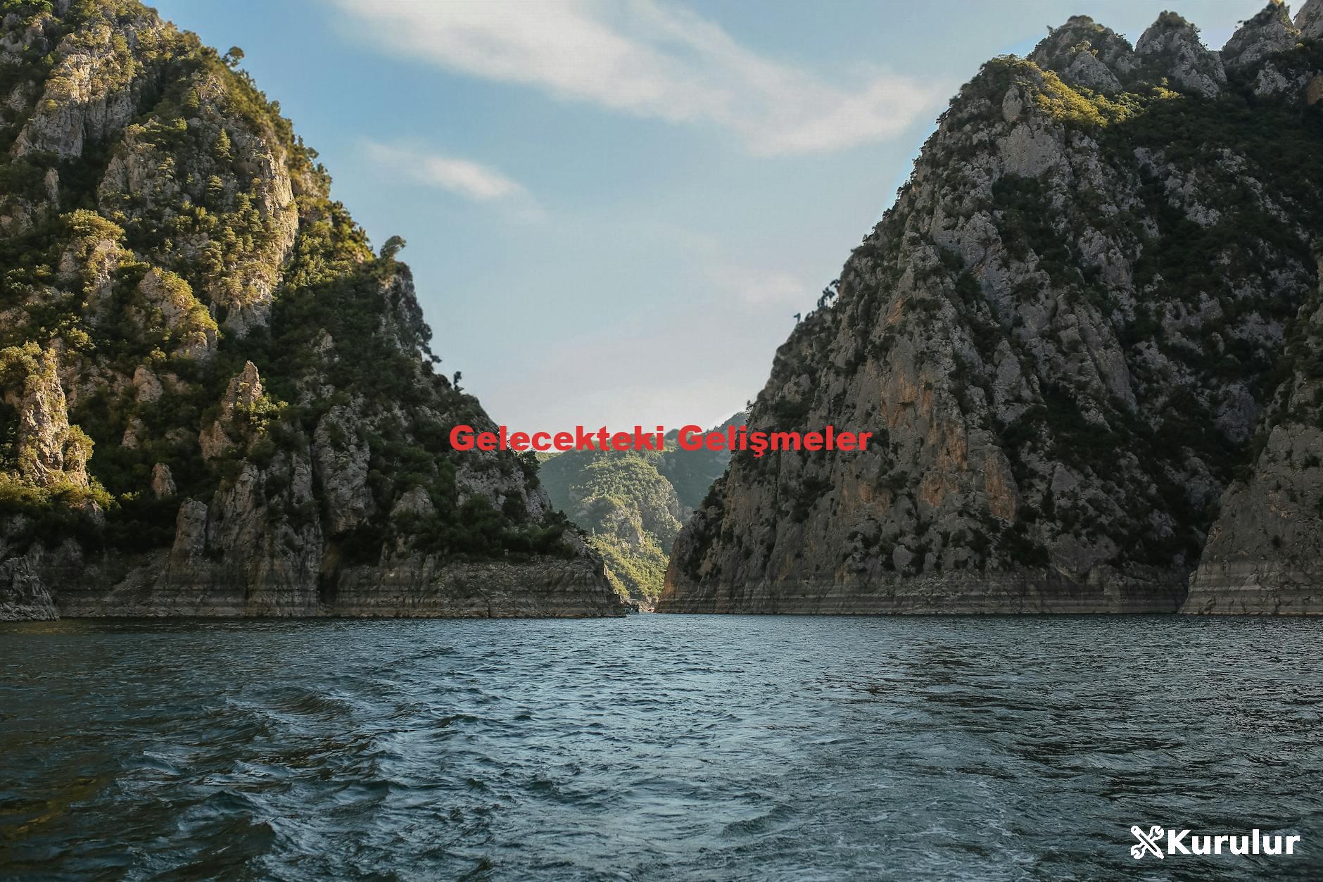Gelecekteki Gelişmeler