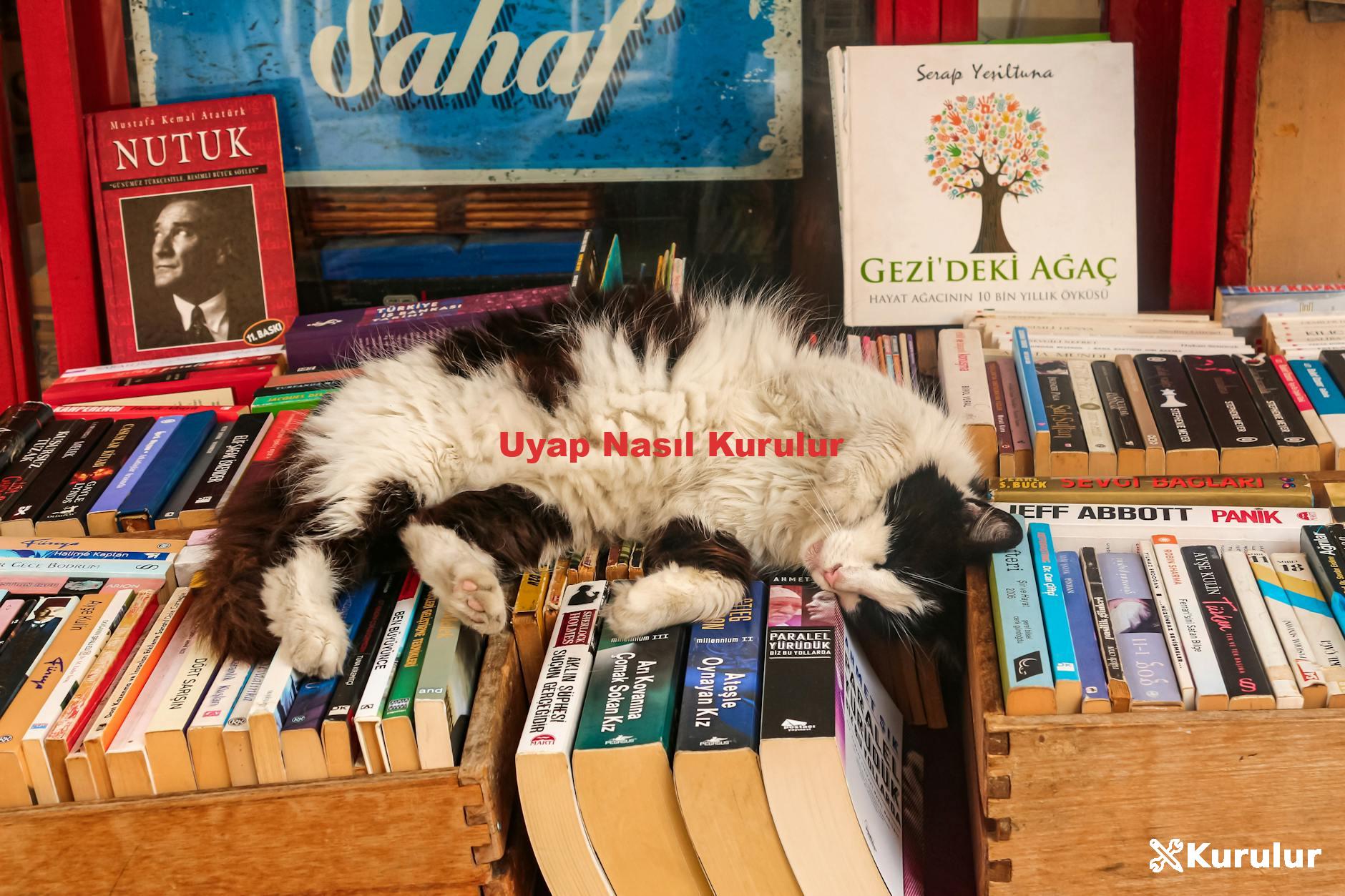 Uyap Nasıl Kurulur