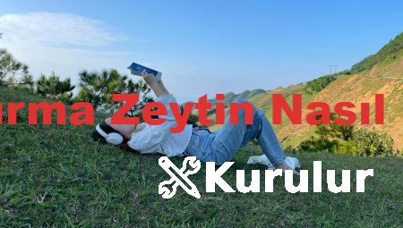 Yeşil Kırma Zeytin Nasıl Kurulur