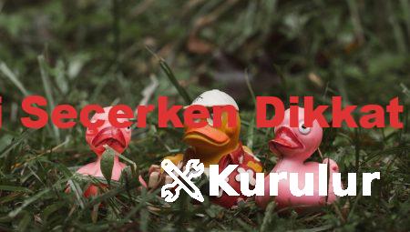 Eyüpsultan’da Çekici Seçerken Dikkat Edilmesi Gerekenler