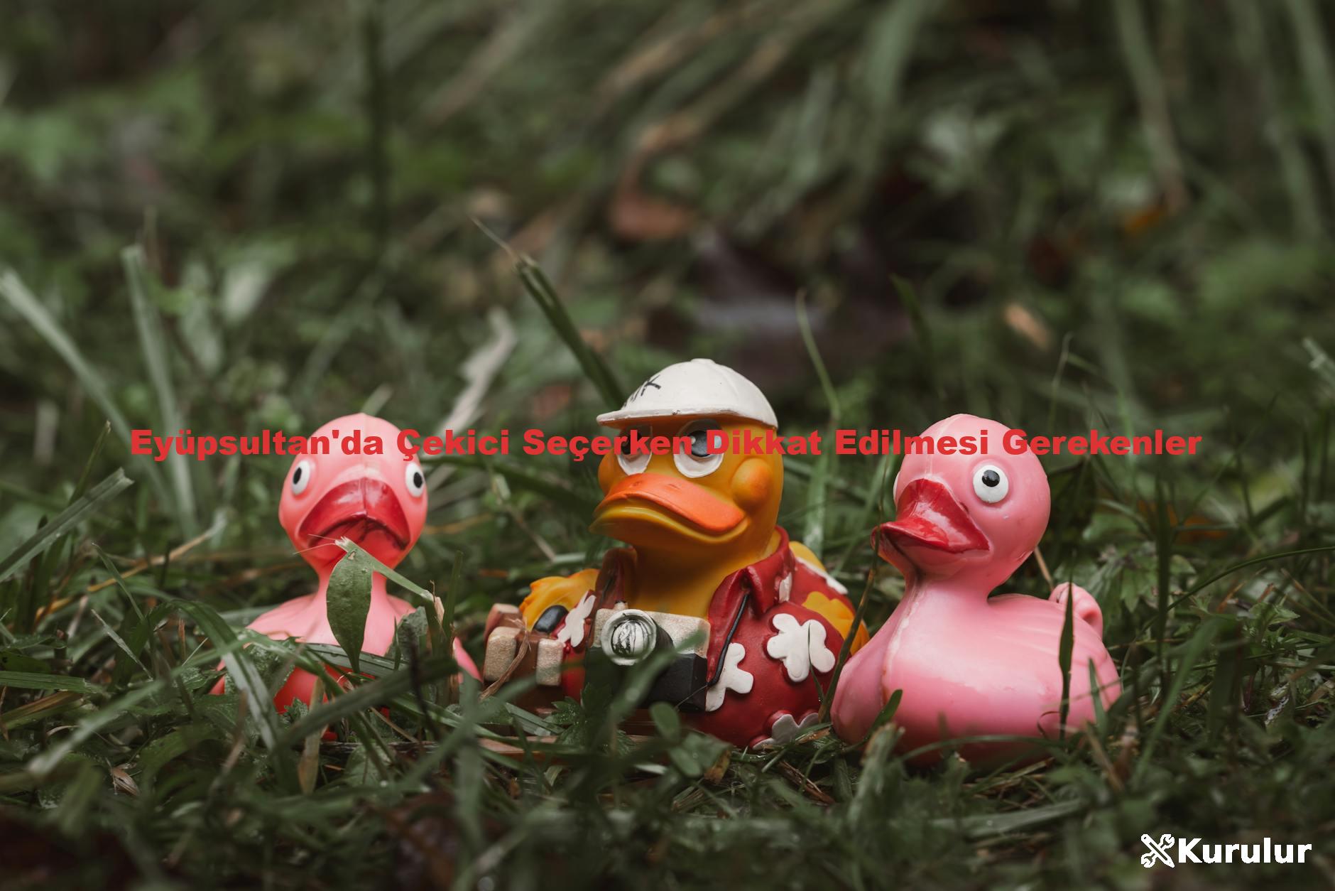 Eyüpsultan'da Çekici Seçerken Dikkat Edilmesi Gerekenler