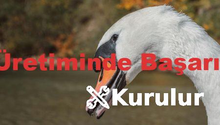 Fason Kozmetik Üretiminde Başarılı Olmanın Yolları
