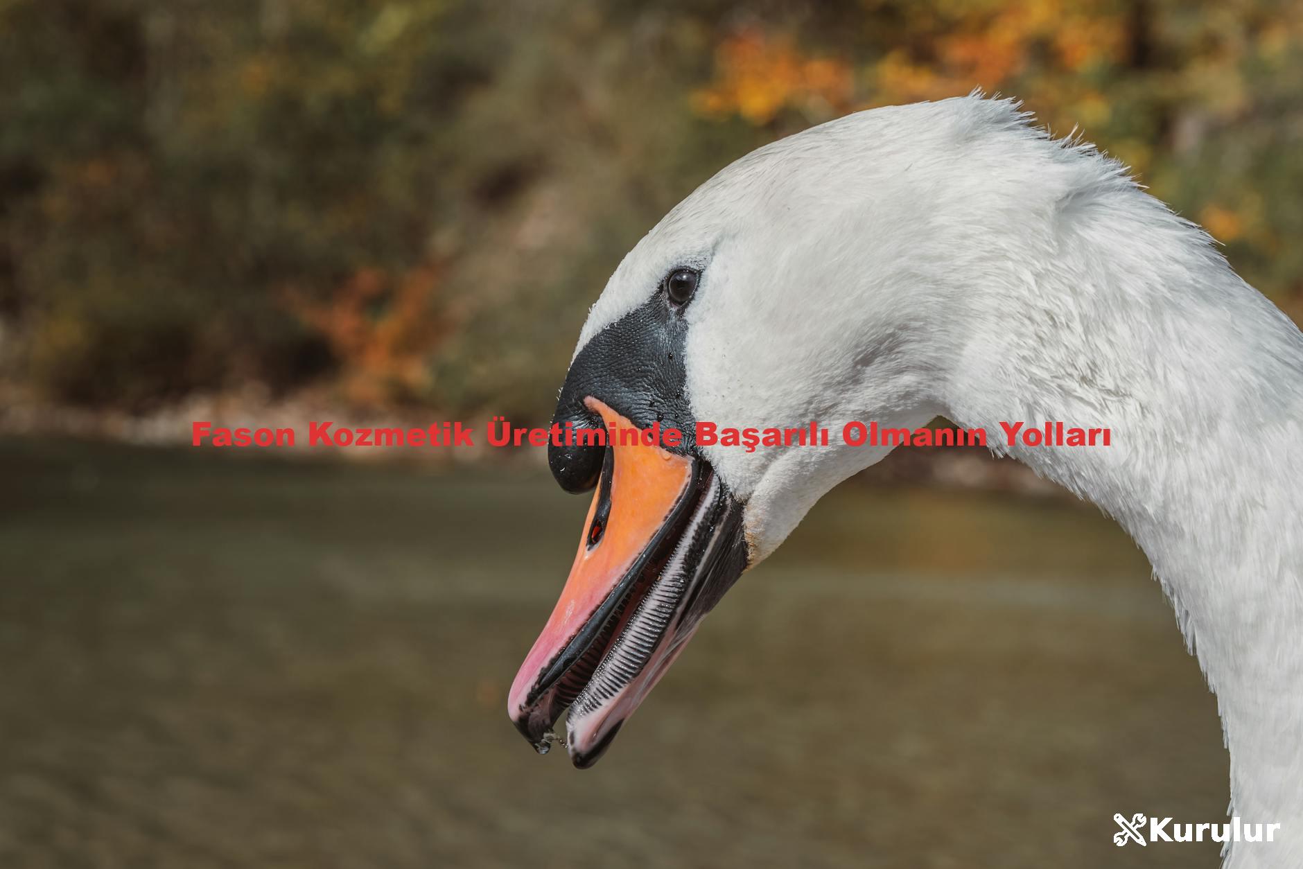 Fason Kozmetik Üretiminde Başarılı Olmanın Yolları