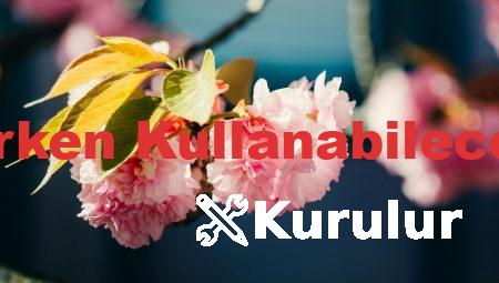 Almanca Öğrenirken Kullanabileceğiniz Kaynaklar