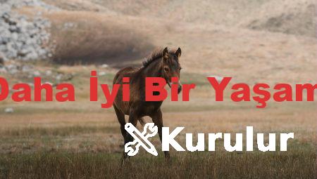 Tavsiyelerle Daha İyi Bir Yaşam İçin 10 Adım