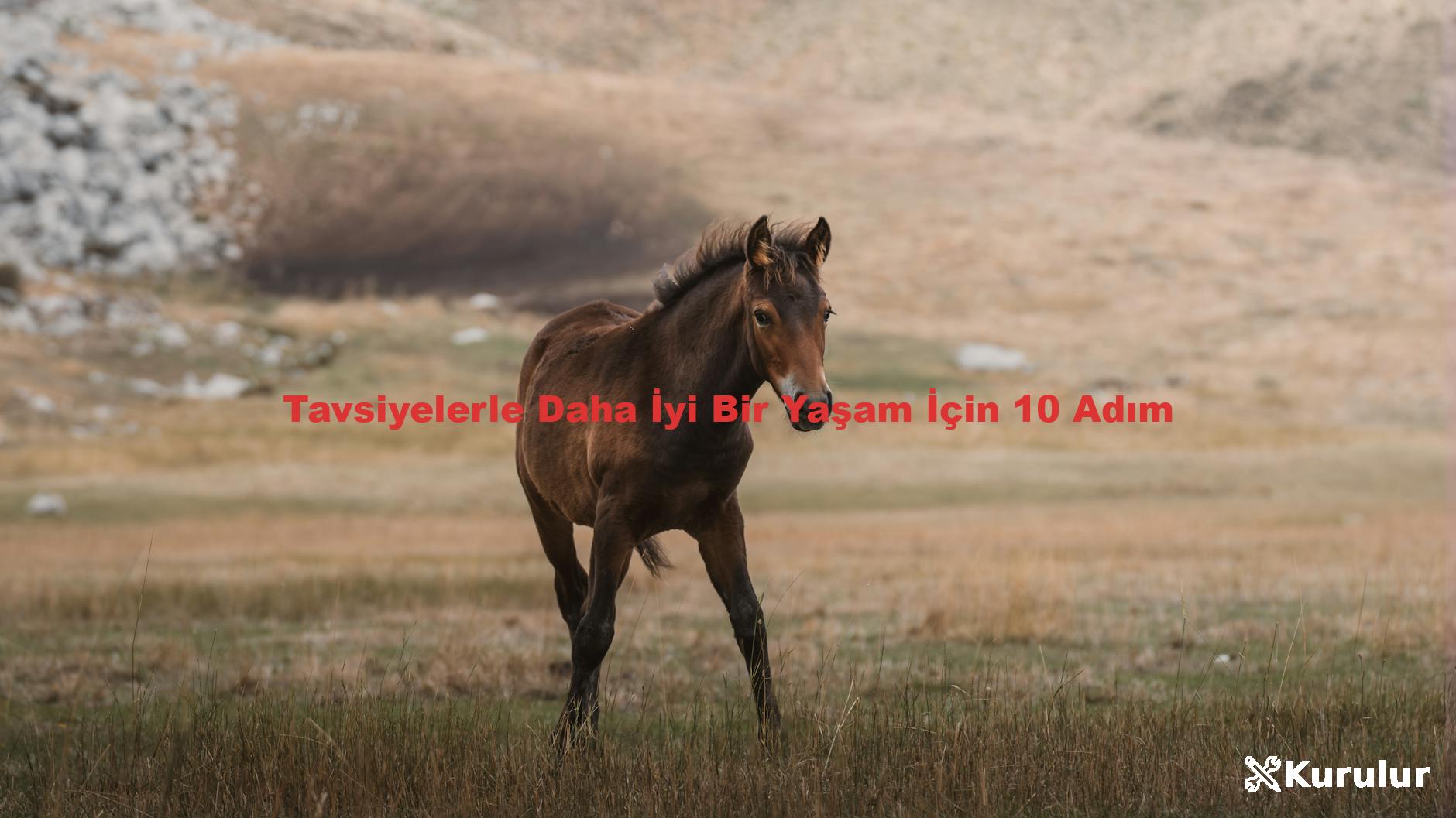 Tavsiyelerle Daha İyi Bir Yaşam İçin 10 Adım