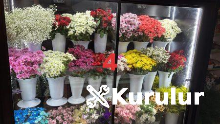 Floksia ile Herkes İçin Uygun Çiçek Seçenekleri